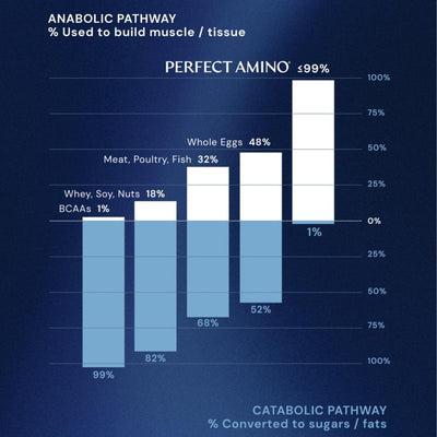 PerfectAmino Powder
